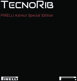 PIRELLI Azimut Special Edition - Azimut Yachts