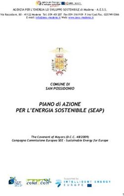 PER L'ENERGIA SOSTENIBILE (SEAP) - PIANO di AZIONE