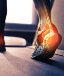 Dall'anatomia dell'arto inferiore alla fisiopatologia della locomozione - 20-21 novembre 2021