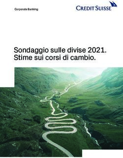 Sondaggio sulle divise 2021. Stime sui corsi di cambio - Corporate Banking - Credit Suisse