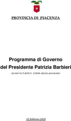 Programma di Governo del Presidente Patrizia Barbieri - PROVINCIA DI PIACENZA - 22 febbraio 2019