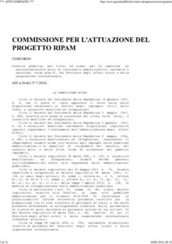 COMMISSIONE PER L'ATTUAZIONE DEL PROGETTO RIPAM