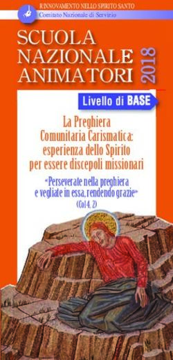 SCUOLA NAZIONALE ANIMATORI 22 LIVELLO DI BBAASSEE - RNS ITALIA