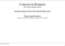 COMUNE DI RUBIERA PIANO ESECUTIVO DI GESTIONE 2020 - Piano degli obiettivi (Provincia di Reggio Emilia)