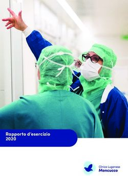 Rapporto d'esercizio 2020 - Clinica Luganese Moncucco