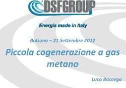 Piccola cogenerazione a gas metano - Energia made in Italy Bolzano - 21 Settembre 2012