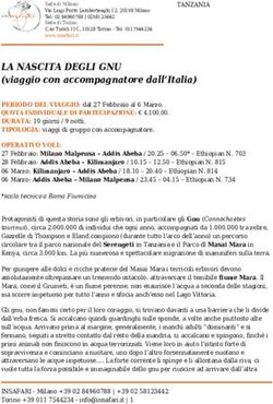 LA NASCITA DEGLI GNU (viaggio con accompagnatore dall'Italia)