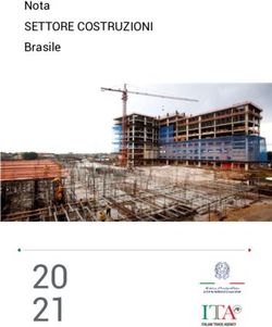 20 21 SETTORE COSTRUZIONI Nota Brasile - infoMercatiEsteri