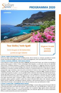 PROGRAMMA 2020 - Dimensione Sicilia
