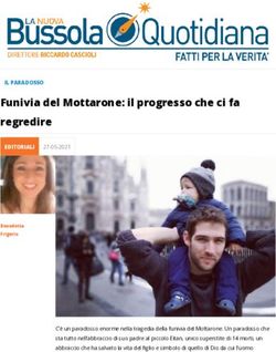 Funivia del Mottarone: il progresso che ci fa regredire
