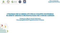 STRATEGIA PER LE GREEN CITY PER LO SVILUPPO SOSTENIBILE IN AMBITO URBANO E METROPOLITANO NEI COMUNI CAMPANI - Dottoressa Maria Grazia Falciatore ...