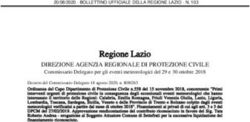 Regione Lazio DIREZIONE AGENZIA REGIONALE DI PROTEZIONE CIVILE