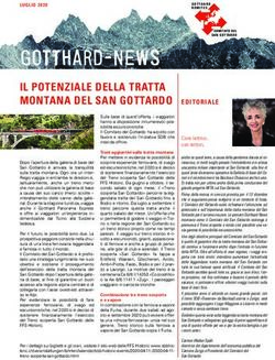 GOTTHARD-NEWS IL POTENZIALE DELLA TRATTA MONTANA DEL SAN GOTTARDO - Gotthard-Komitee