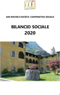 2020 BILANCIO SOCIALE - SAN MICHELE SOCIETA' COOPERATIVA SOCIALE - definitivo