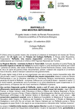 RAFFAELLO UNA MOSTRA IMPOSSIBILE - Le Mostre Impossibili