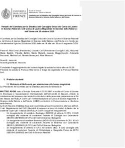 Verbale del Comitato per la Didattica del Consiglio Unico dei Corso di Laurea in Scienze Naturali e del Corso di Laurea Magistrale in Scienze ...