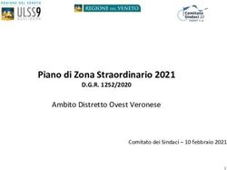 Piano di Zona Straordinario 2021 - Ambito Distretto Ovest Veronese D.G.R. 1252/2020 - Caritas Verona