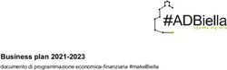 Business plan 2021-2023 - documento di programmazione economica-finanziaria #makeBiella - Camere di Commercio D'Italia