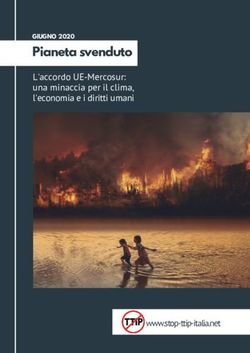 Pianeta svenduto L'accordo UE-Mercosur: una minaccia per il clima, l'economia e i diritti umani - Stop TTIP Italia