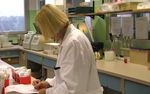 GUIDA DEL DONATORE DI SANGUE - informativo per