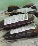 GUIDA DEL DONATORE DI SANGUE - informativo per