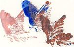 GUIDA DEL DONATORE DI SANGUE - informativo per