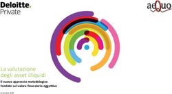 La valutazione degli asset illiquidi - Il nuovo approccio metodologico fondato sul valore finanziario oggettivo