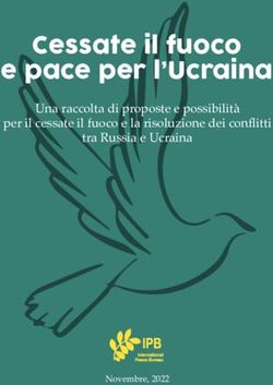 Cessate il fuoco e pace per l'Ucraina - Una raccolta di proposte e possibilità per il cessate il fuoco e la risoluzione dei conflitti tra Russia e ...