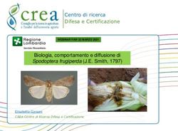 Centro di ricerca Difesa e Certificazione - Biologia, comportamento e diffusione di Spodoptera frugiperda (J.E. Smith, 1797) - Regione Lombardia