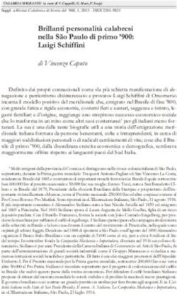 Brillanti personalità calabresi nella São Paulo di primo '900: Luigi Schiffini - Icsaic