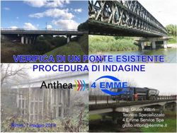 Ing. Giulio Vittori Tecnico Specializzato 4 Emme Service Spa - Rimini, 7 maggio 2019