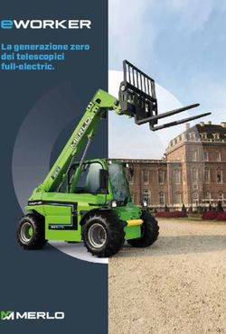 La generazione zero dei telescopici full-electric - Gavarini