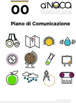 N C Piano di Comunicazione - Anaca Basilicata