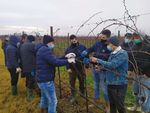 CASALINI: "MANTENERE LA FIDUCIA" - Futuro = pi&ugrave; giovani e innovazione - Giornale degli agricoltori e degli interessi economici della provincia di ...
