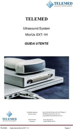 TELEMED ULTRASOUND SYSTEM MICRUS EXT-1H - GUIDA UTENTE - ULTRASOUND SYSTEM MICRUS EXT-1H GUIDA UTENTE
