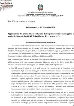 Seguito degli eventi sismici dell'Isola di Ischia del 21 agosto 2017.