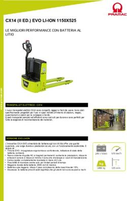 CX14 (II ED.) EVO LI-ION 1150X525 - LE MIGLIORI PERFORMANCE CON BATTERIA AL LITIO