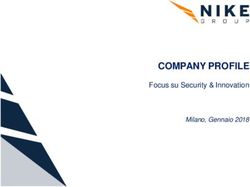 COMPANY PROFILE Focus su Security & Innovation - Milano, Gennaio 2018 - NIKE consulting