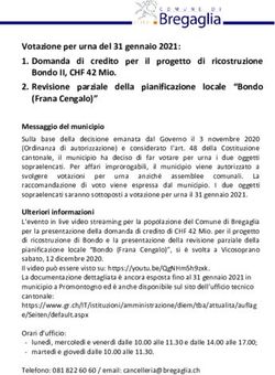 Votazione per urna del 31 gennaio 2021: 1. Domanda di credito per il progetto di ricostruzione - Comune di Bregaglia