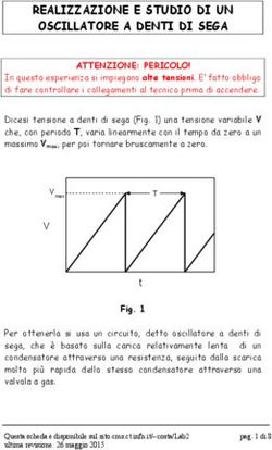 REALIZZAZIONE E STUDIO DI UN OSCILLATORE A DENTI DI SEGA