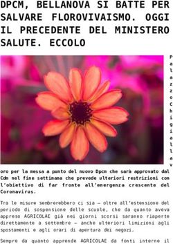 DPCM, BELLANOVA SI BATTE PER SALVARE FLOROVIVAISMO. OGGI IL PRECEDENTE DEL MINISTERO SALUTE. ECCOLO - Agricolae