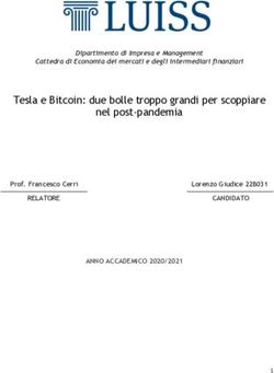Tesla e Bitcoin: due bolle troppo grandi per scoppiare nel post-pandemia