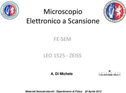 Microscopio Elettronico a Scansione - FE SEM LEO 1525 ZEISS A. Di Michele