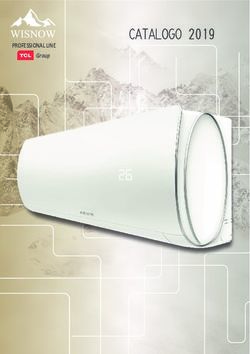 CATALOGO 2019 PROFESSIONAL LINE - Group - Wisnow Italia