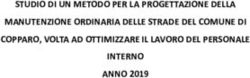 STUDIO DI UN METODO PER LA PROGETTAZIONE DELLA MANUTENZIONE ORDINARIA DELLE STRADE DEL COMUNE DI COPPARO, VOLTA AD OTTIMIZZARE IL LAVORO DEL PERSONALE