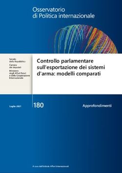 180 Controllo parlamentare sull'esportazione dei sistemi d'arma: modelli comparati