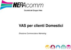 VAS per clienti Domestici - Direzione Commerciale e Marketing