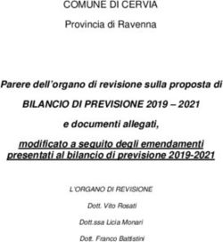 BILANCIO DI PREVISIONE 2019 2021 - COMUNE DI CERVIA