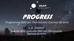 PROGRESS Programma INAF per l'Astronomia Gamma da terra - L. A. Antonelli a nome della comunit&agrave; INAF per l'Astronomia