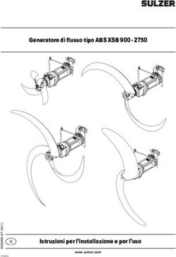 Generatore di flusso tipo ABS XSB 900 2750 - Istruzioni per l'installazione e per l'uso it - Sulzer
